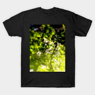 apple blossoms #1 T-Shirt